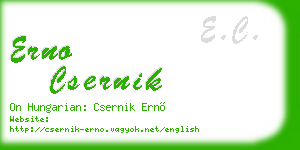 erno csernik business card